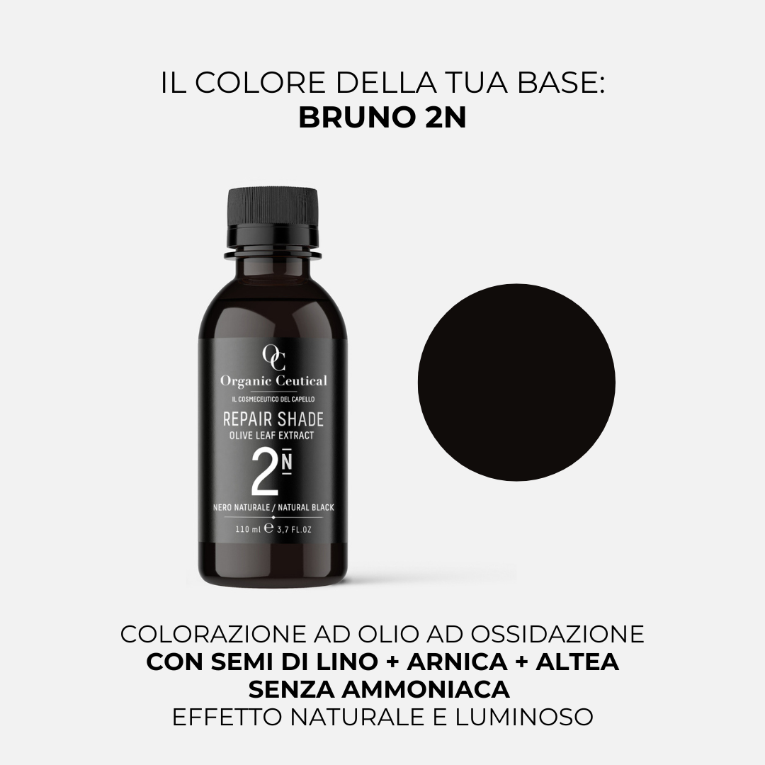 BRUNO 2N